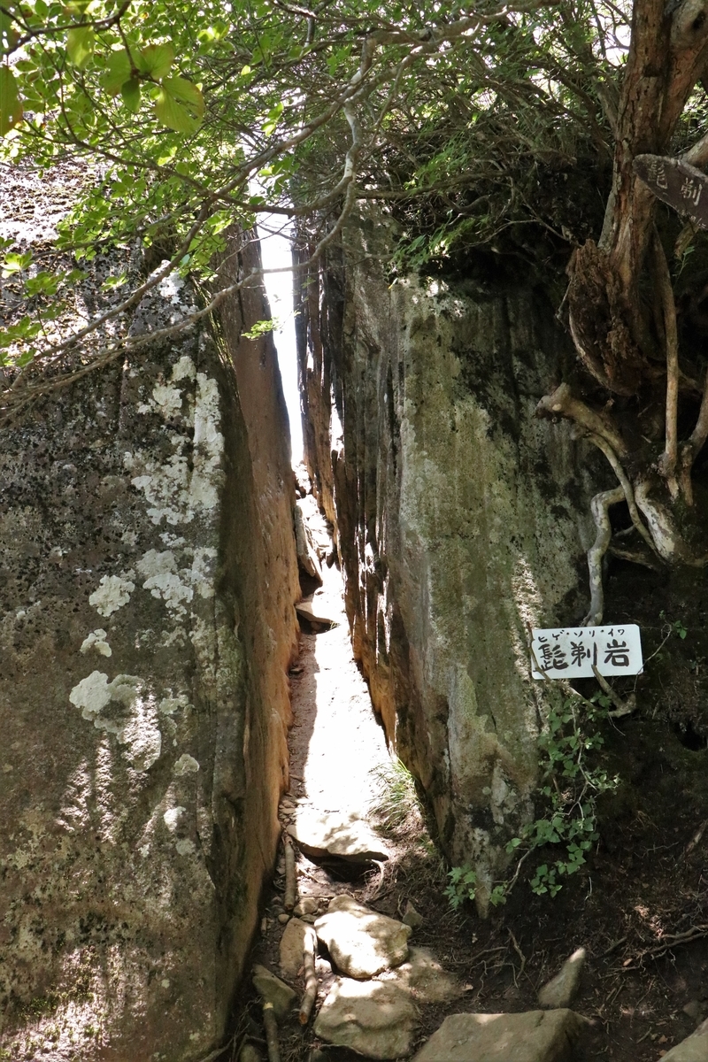 f:id:mountori:20210919234127j:plain