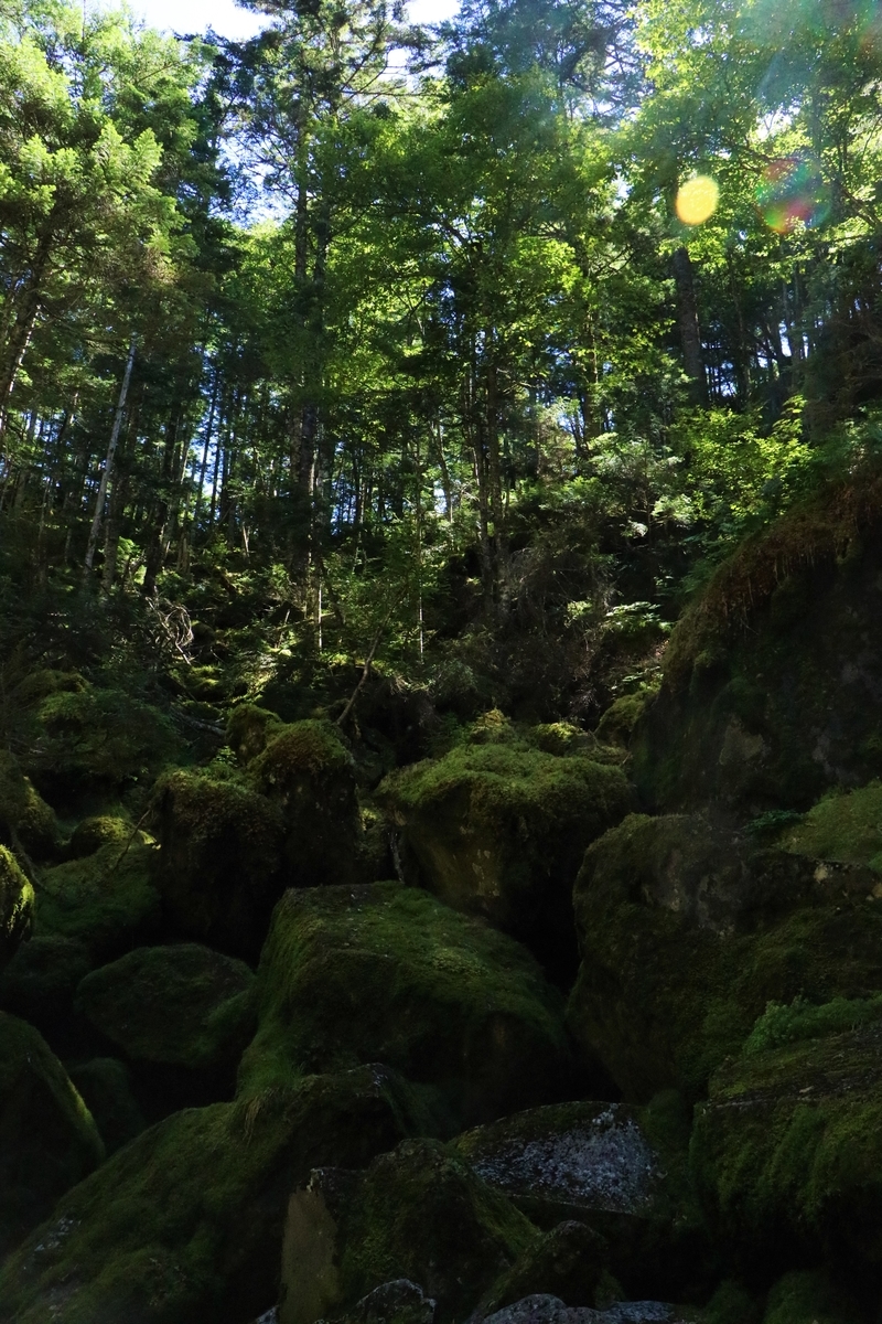 f:id:mountori:20211029230047j:plain