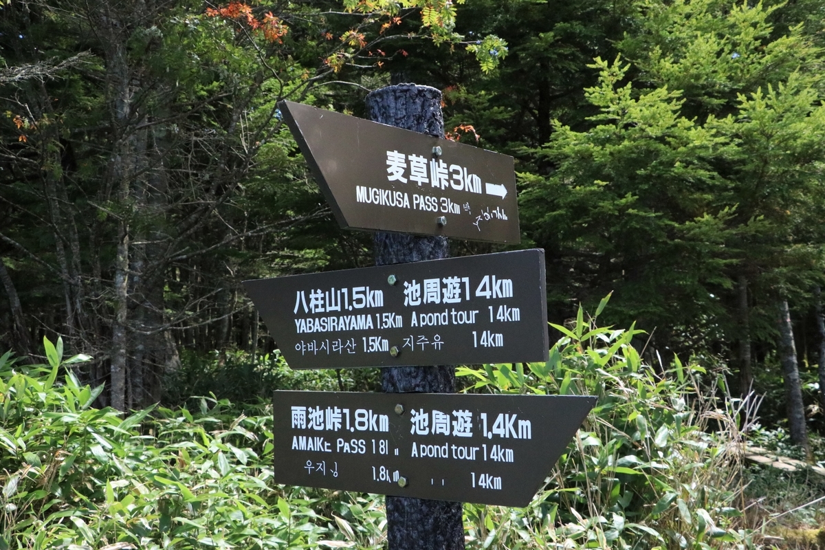 f:id:mountori:20211103232459j:plain