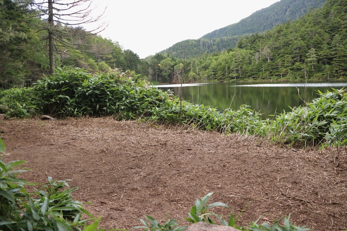 f:id:mountori:20211105185915j:plain