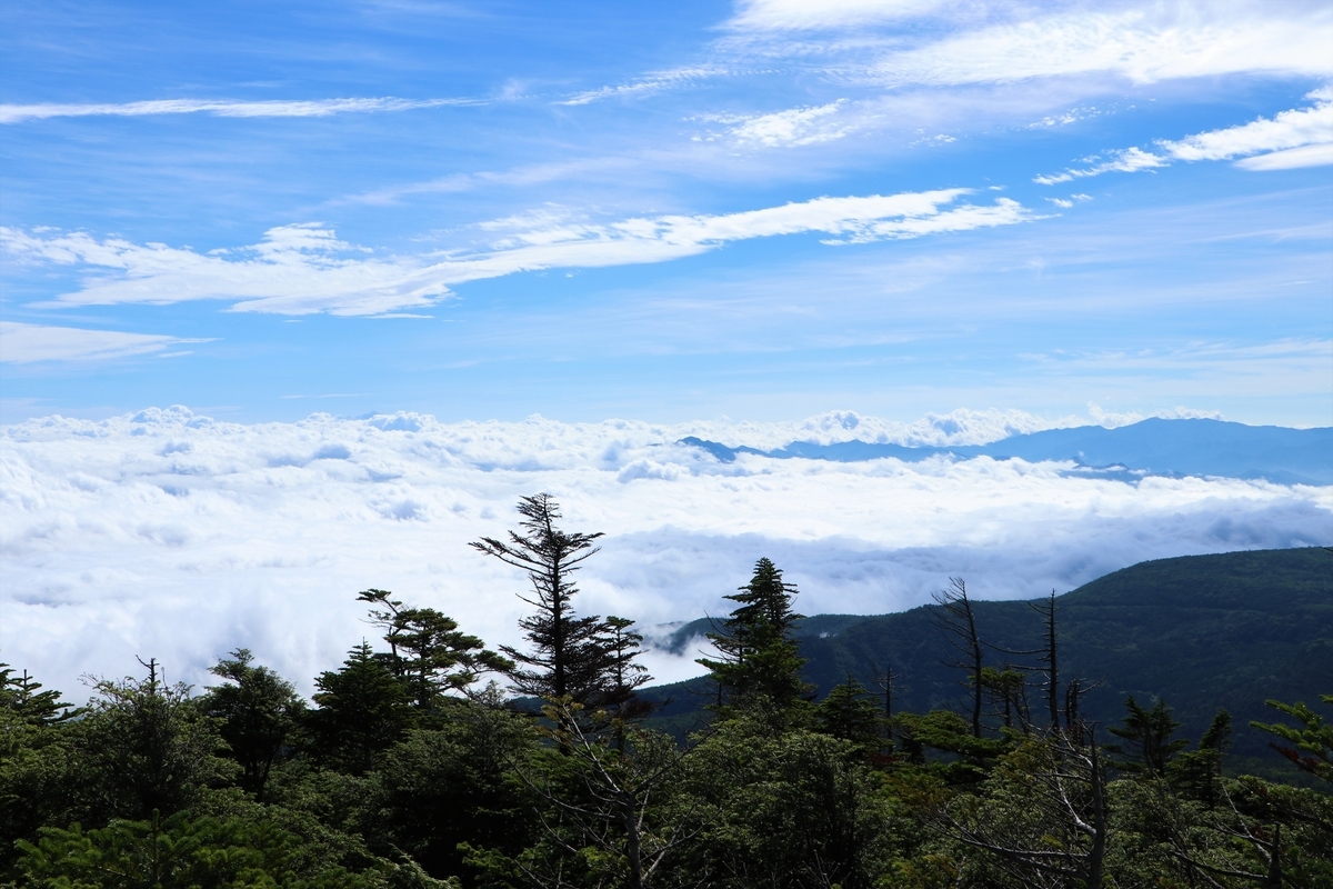 f:id:mountori:20211127220943j:plain