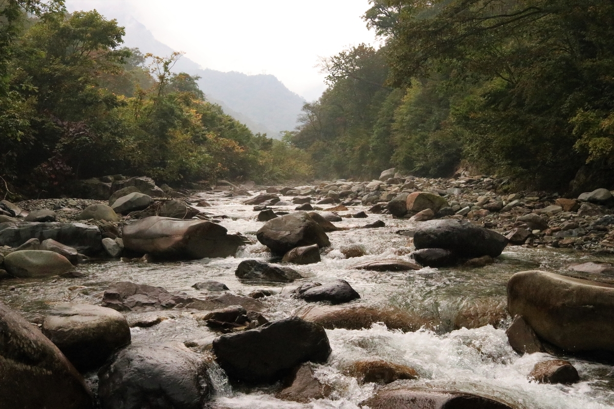 f:id:mountori:20211227004302j:plain
