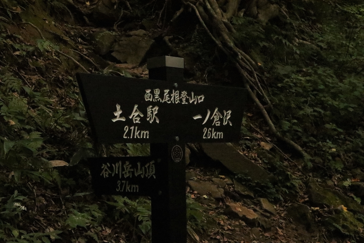 f:id:mountori:20220101225520j:plain