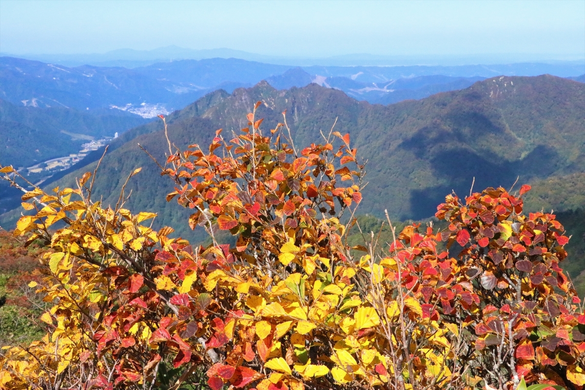 f:id:mountori:20220108001600j:plain