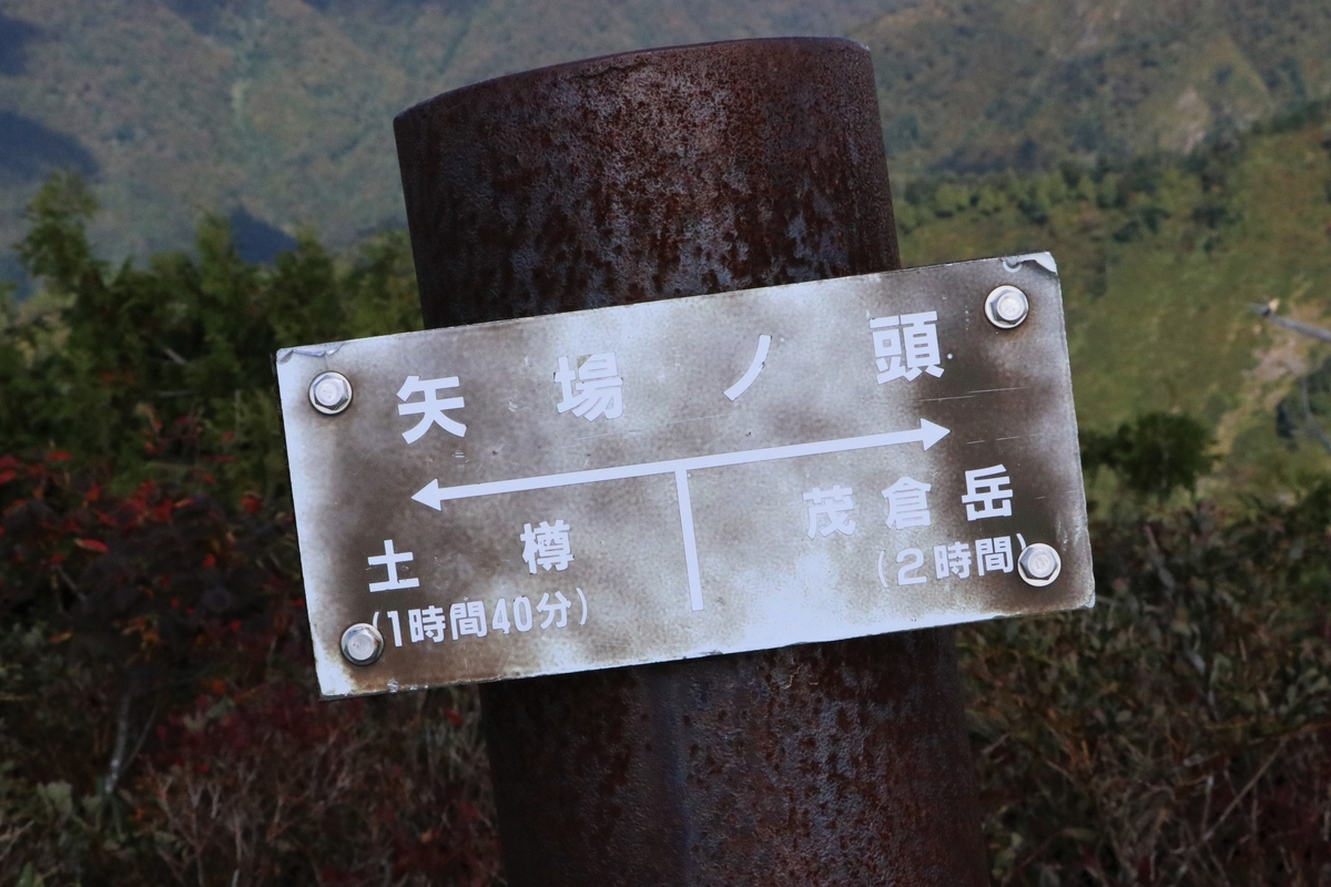 f:id:mountori:20220108003505j:plain