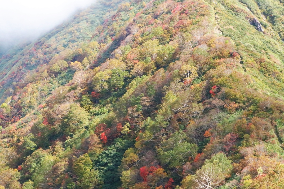 f:id:mountori:20220108003643j:plain