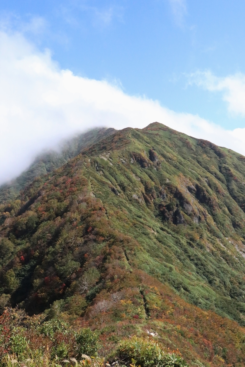 f:id:mountori:20220108003730j:plain