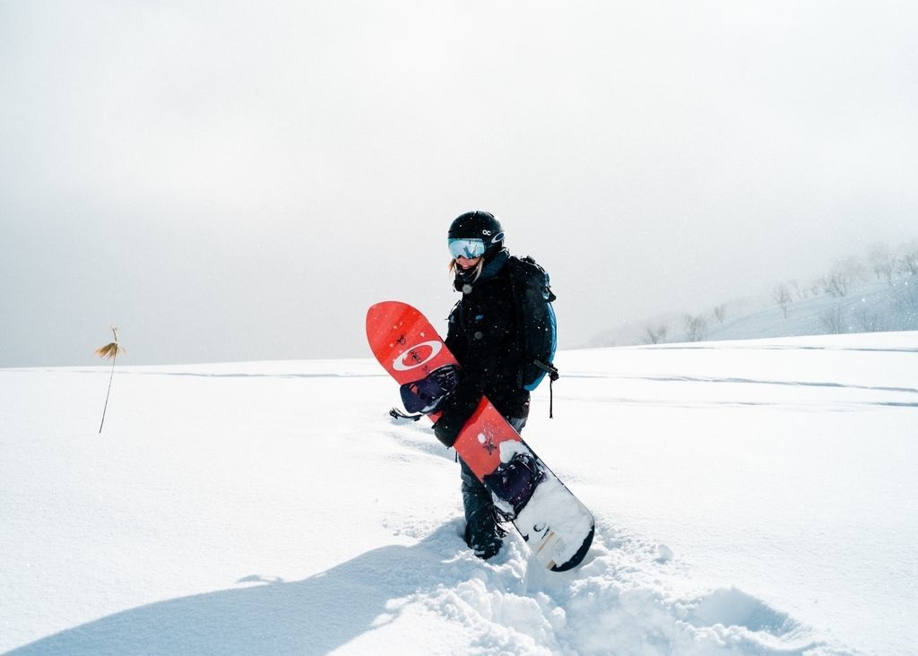 f:id:mountrip:20190106104521j:plain