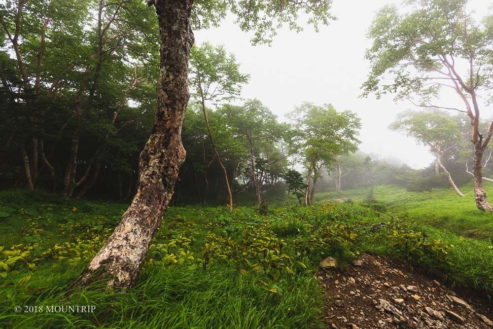 f:id:mountrip:20190630214343j:plain