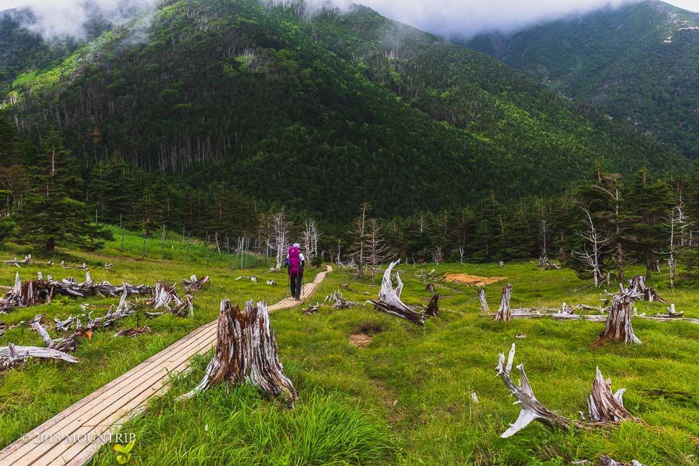 f:id:mountrip:20190630214403j:plain