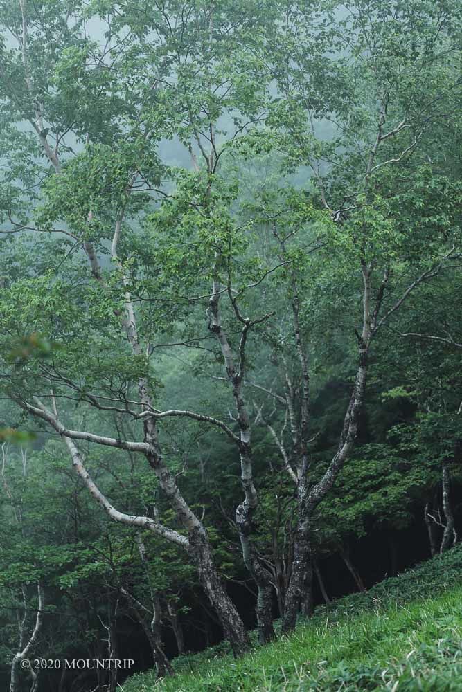 f:id:mountrip:20200726233915j:plain f:id:mountrip:20200726233915j:plain