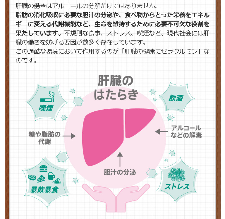 f:id:mouralife:20161006115456j:plain