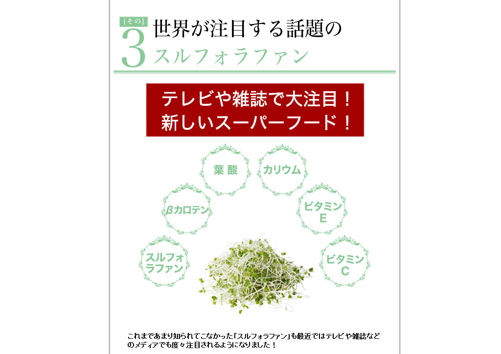 f:id:mouralife:20161117120707j:plain