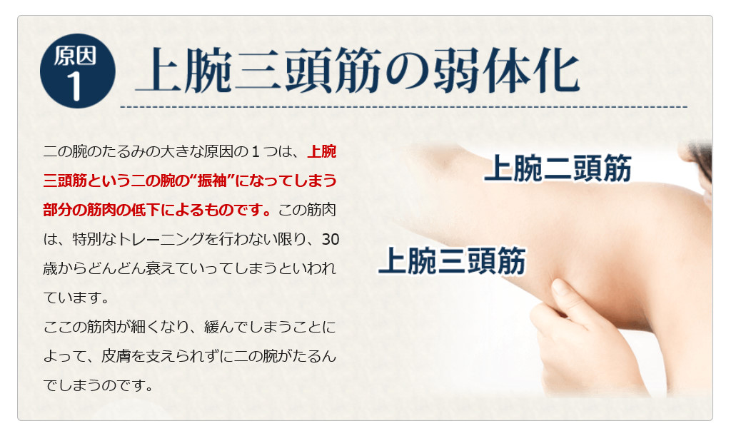 f:id:mouralife:20161122145850j:plain