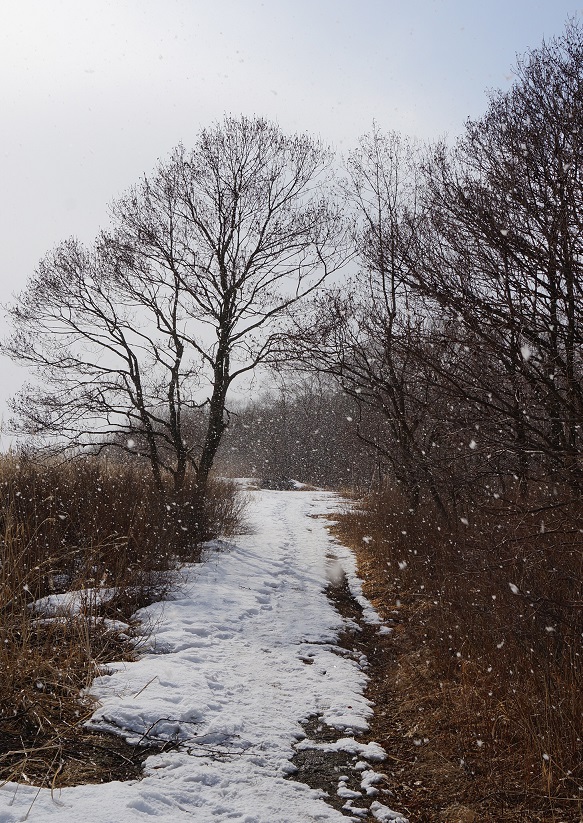 f:id:mouratta:20180708092233j:plain