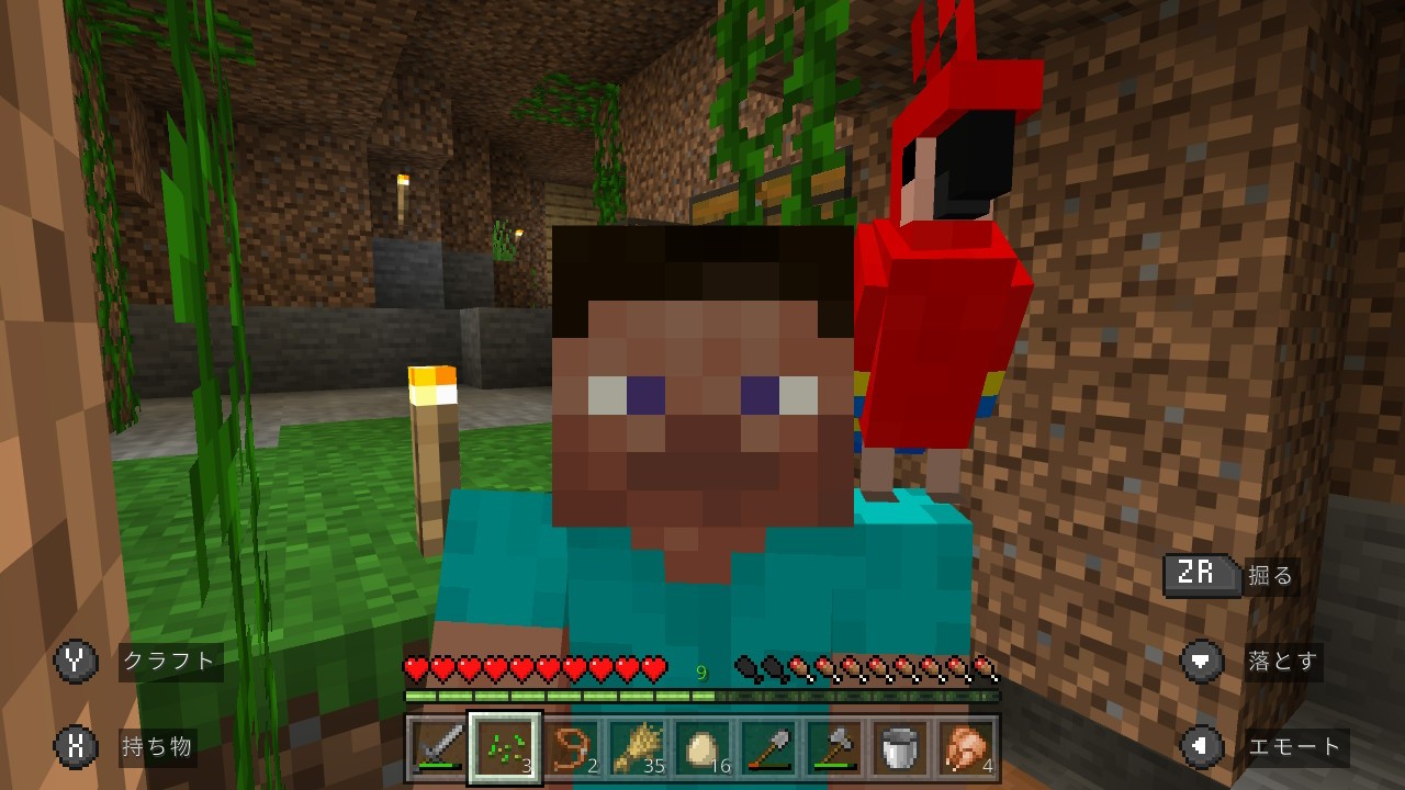 f:id:mouse_314:20220604145628j:image f:id:mouse_314:20220604145628j:image