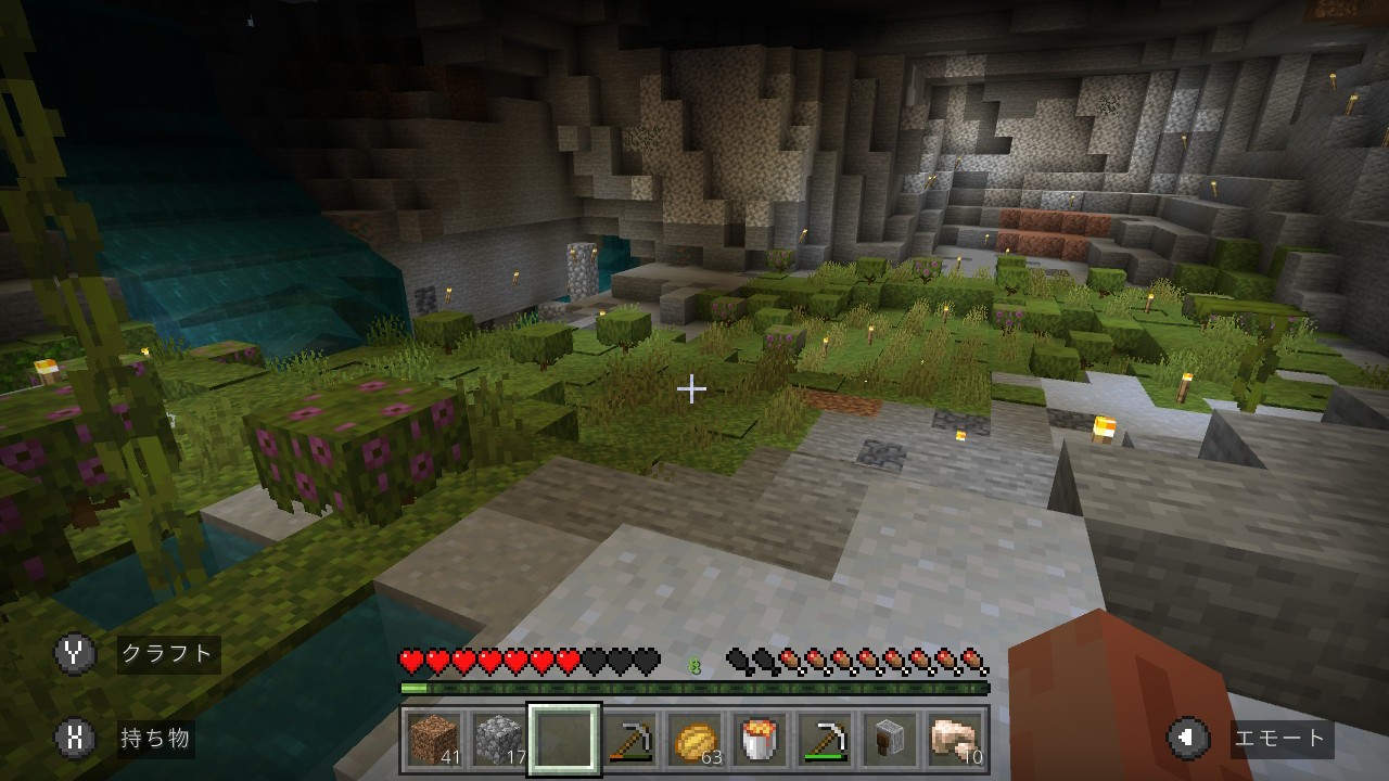 f:id:mouse_314:20220604183449j:image f:id:mouse_314:20220604183449j:image