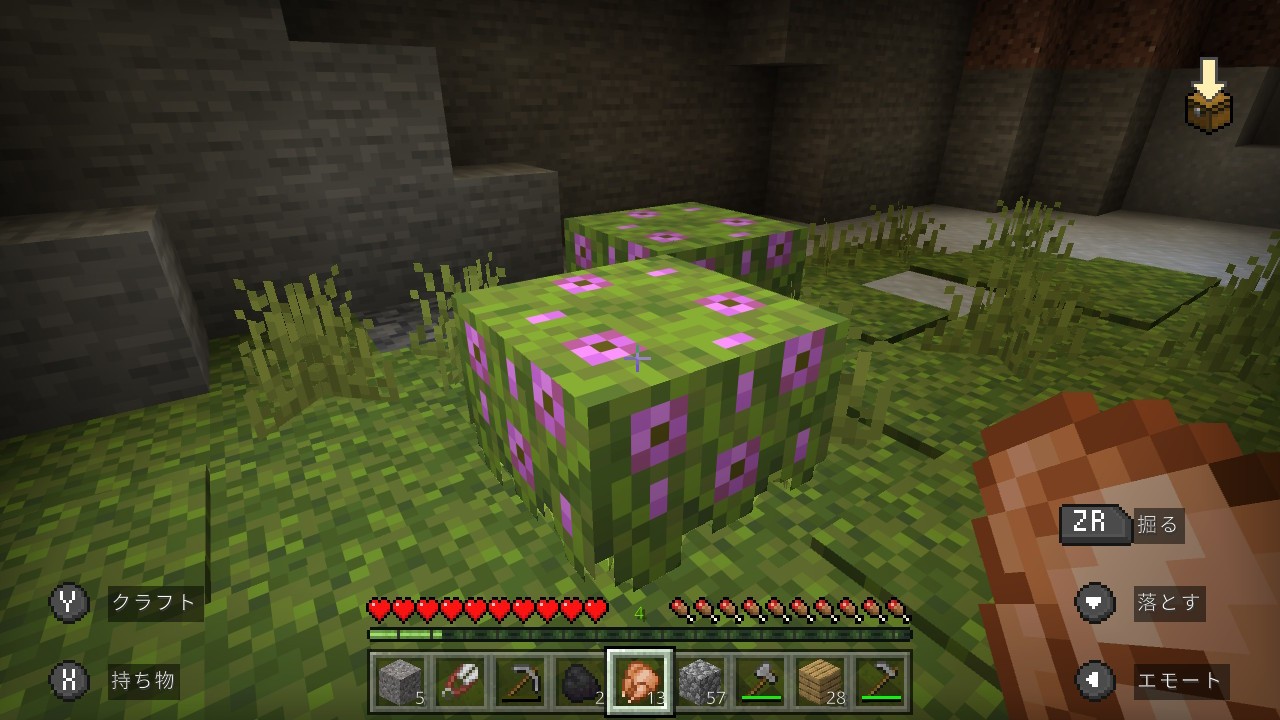 f:id:mouse_314:20220604190645j:image f:id:mouse_314:20220604190645j:image