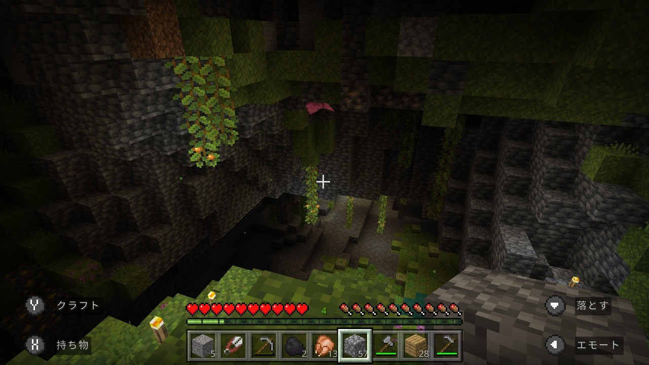 f:id:mouse_314:20220604190655j:image f:id:mouse_314:20220604190655j:image
