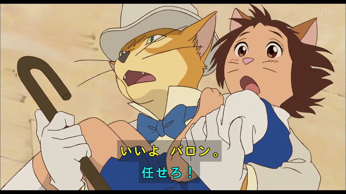 金曜ロードショー 猫の恩返し 21年8月日放送 雑感 日テレ良い所でedカットしやがった いつもより30分位早いのに思い切りカットしやがって Mouseionのブログ