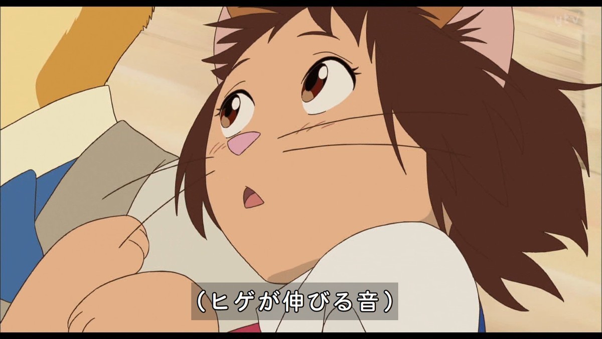 金曜ロードショー 猫の恩返し 21年8月日放送 雑感 日テレ良い所でedカットしやがった いつもより30分位早いのに思い切りカットしやがって Mouseionのブログ