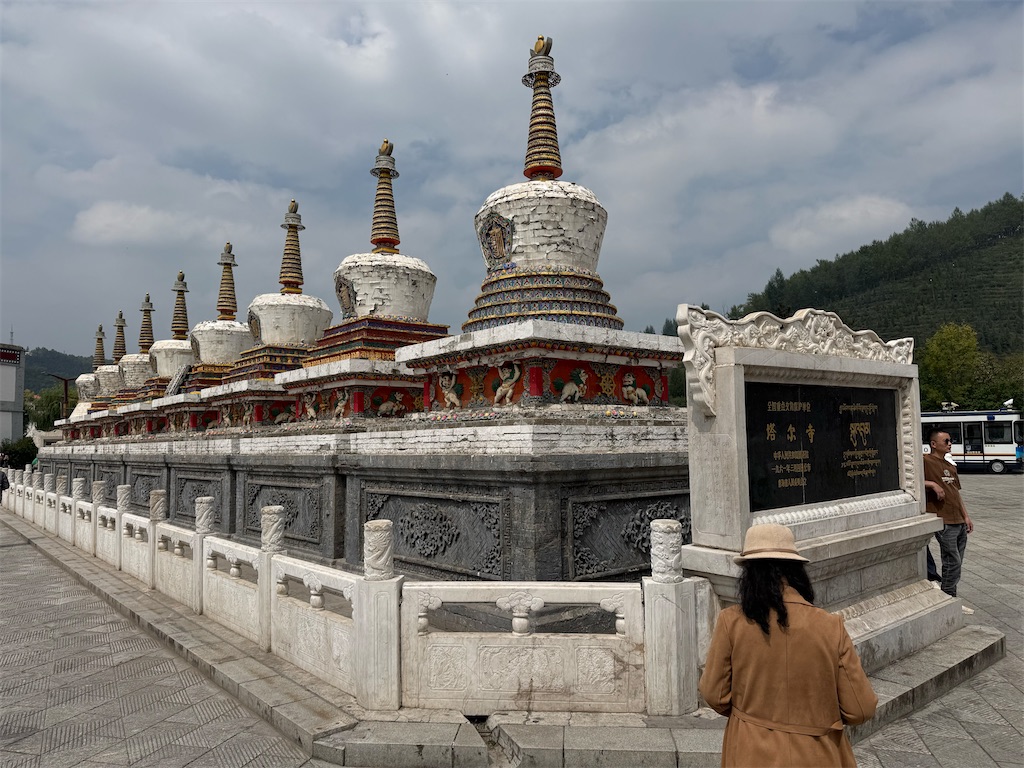 f:id:mousoukai_shenzhen:20260910232613j:image