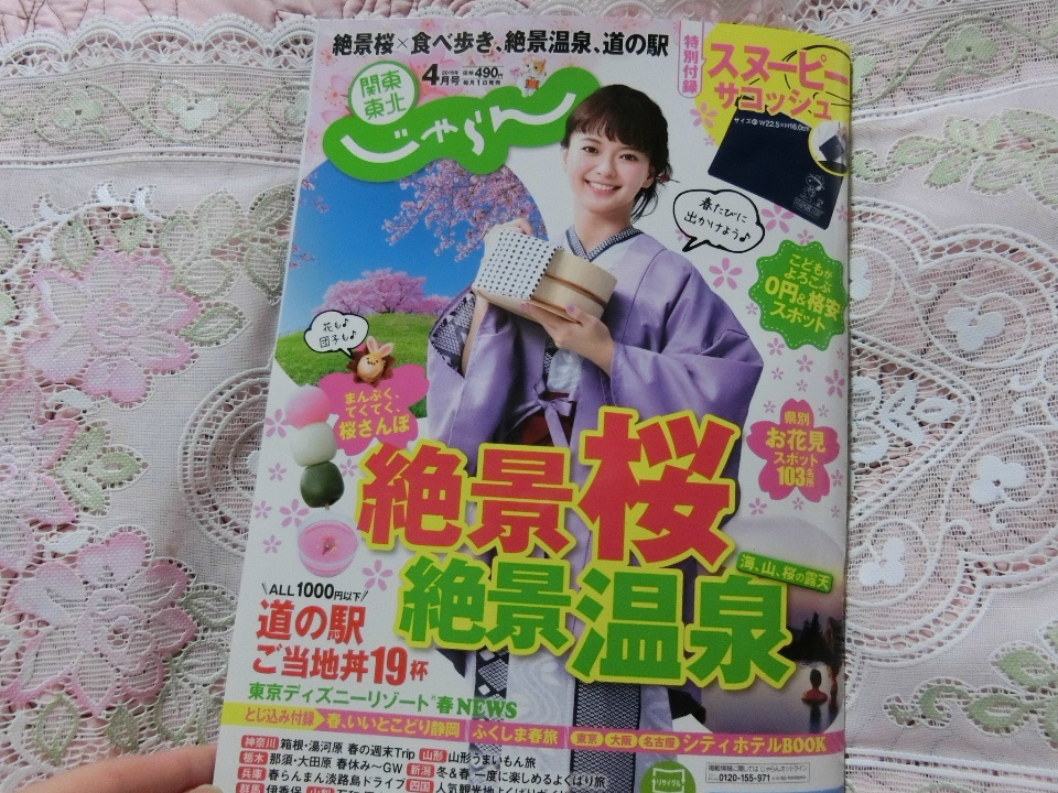 f:id:mousoumajyo:20190304150616j:plain
