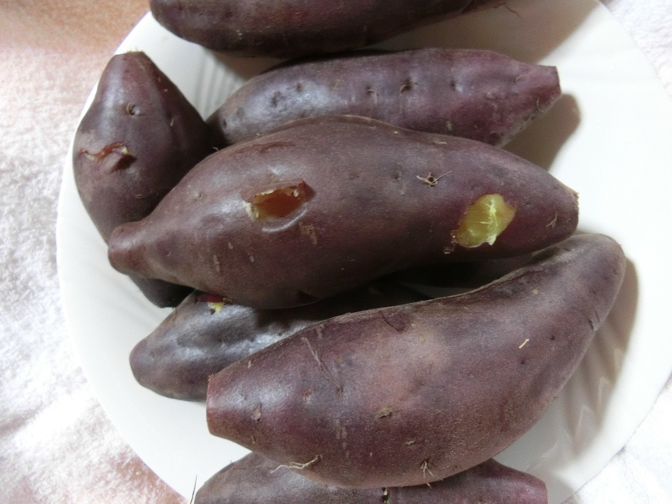 f:id:mousoumajyo:20190327113655j:plain