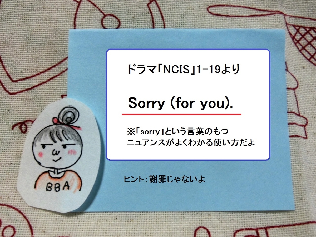英語のネイティブ表現 Sorry For You ドラマncis 1 19話でそのニュアンスがよくわかるよ 英語でgo World a Station