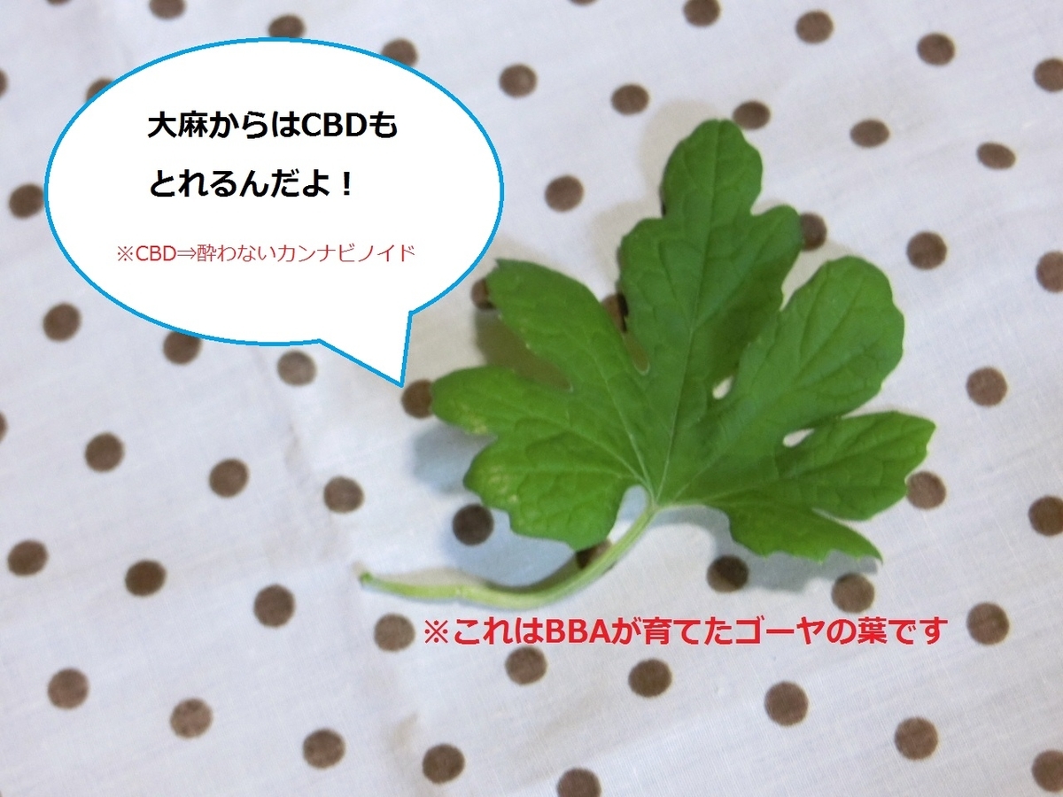 f:id:mousoumajyo:20200909153537j:plain