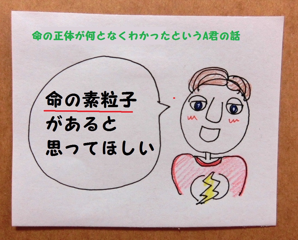 f:id:mousoumajyo:20210223164740j:plain