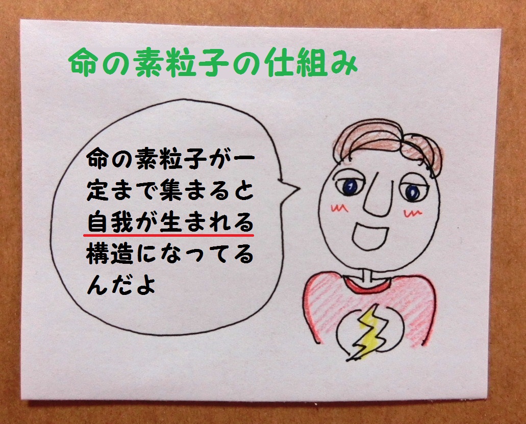 f:id:mousoumajyo:20210223165218j:plain