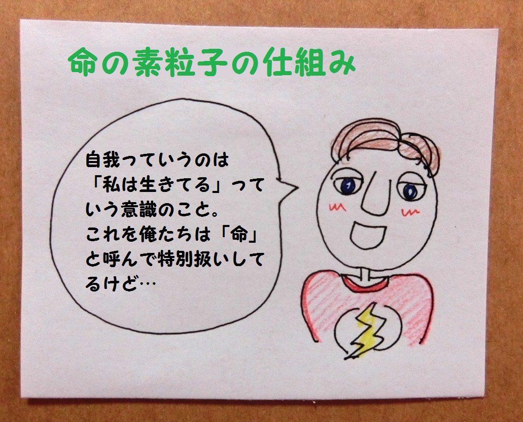 f:id:mousoumajyo:20210223165540j:plain