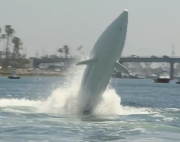 f:id:mousoumajyo:20210228155826j:plain