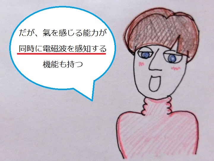 f:id:mousoumajyo:20210311175453j:plain