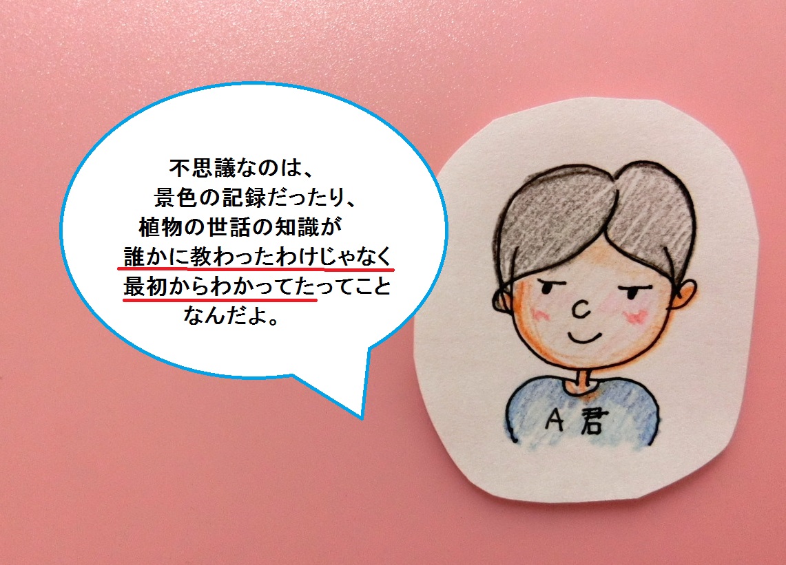 f:id:mousoumajyo:20210529133729j:plain