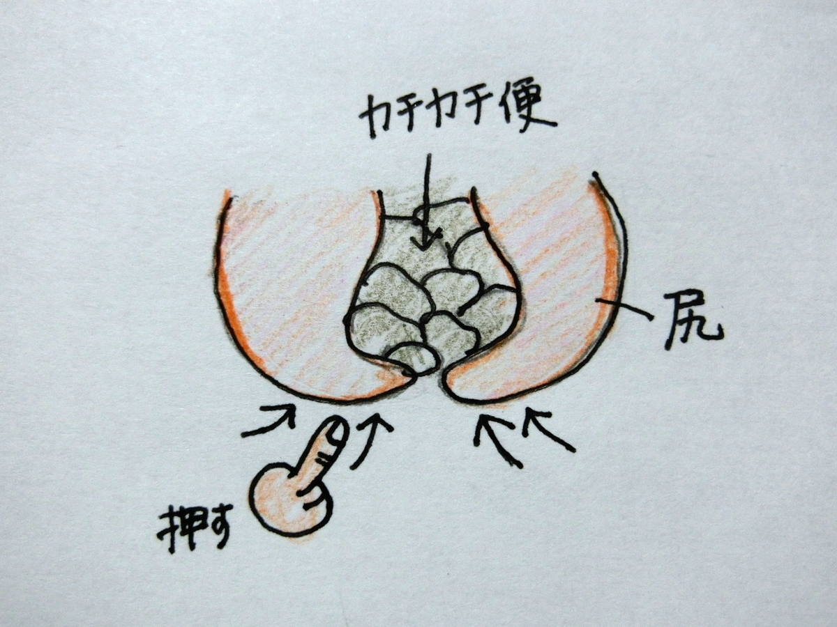 f:id:mousoumajyo:20220108181744j:plain