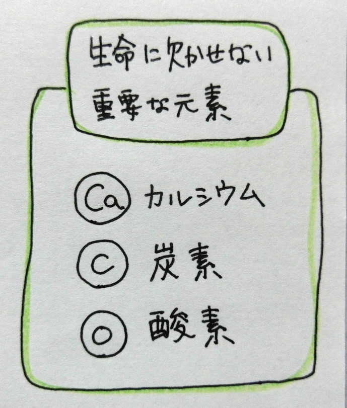 f:id:mousoumajyo:20220109162458j:plain