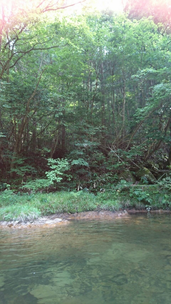 綺麗な川の風景で癒しを 広島の 日本の川はひたすらに美しい 川で遊ぶ時の注意点 妄想力は無限大 別館 綺麗な川の風景で癒しを 広島の 日本の川はひたすらに美しい 川で遊ぶ時の注意点 妄想力は無限大 別館
