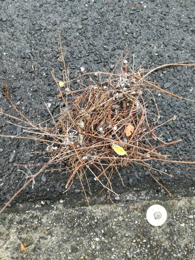 f:id:mousouryoku:20170905181411j:plain