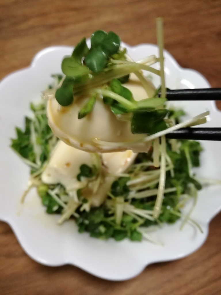 f:id:mousouryoku:20171006140827j:plain