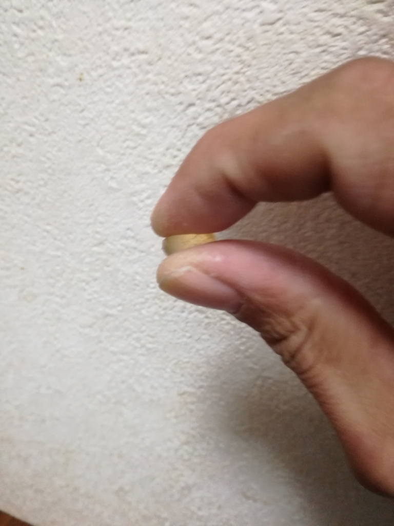 f:id:mousouryoku:20171129142735j:plain