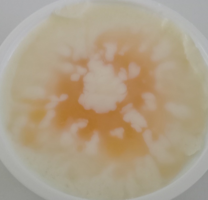 f:id:mousouryoku:20180802113427j:plain f:id:mousouryoku:20180802113427j:plain