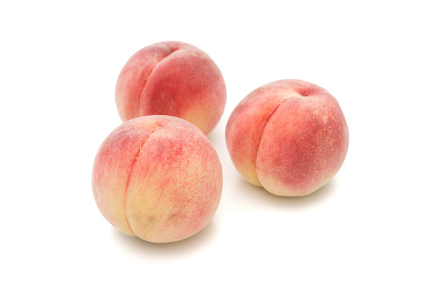 f:id:mousouryoku:20180803143655j:plain f:id:mousouryoku:20180803143655j:plain