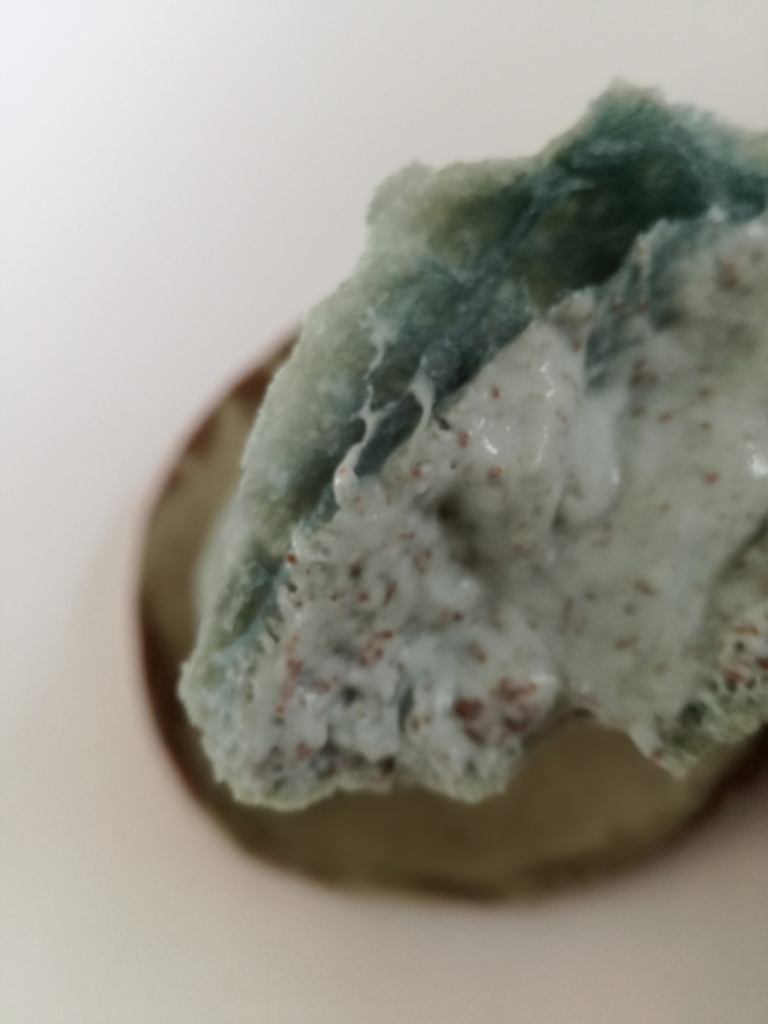 f:id:mousouryoku:20180815160325j:plain f:id:mousouryoku:20180815160325j:plain