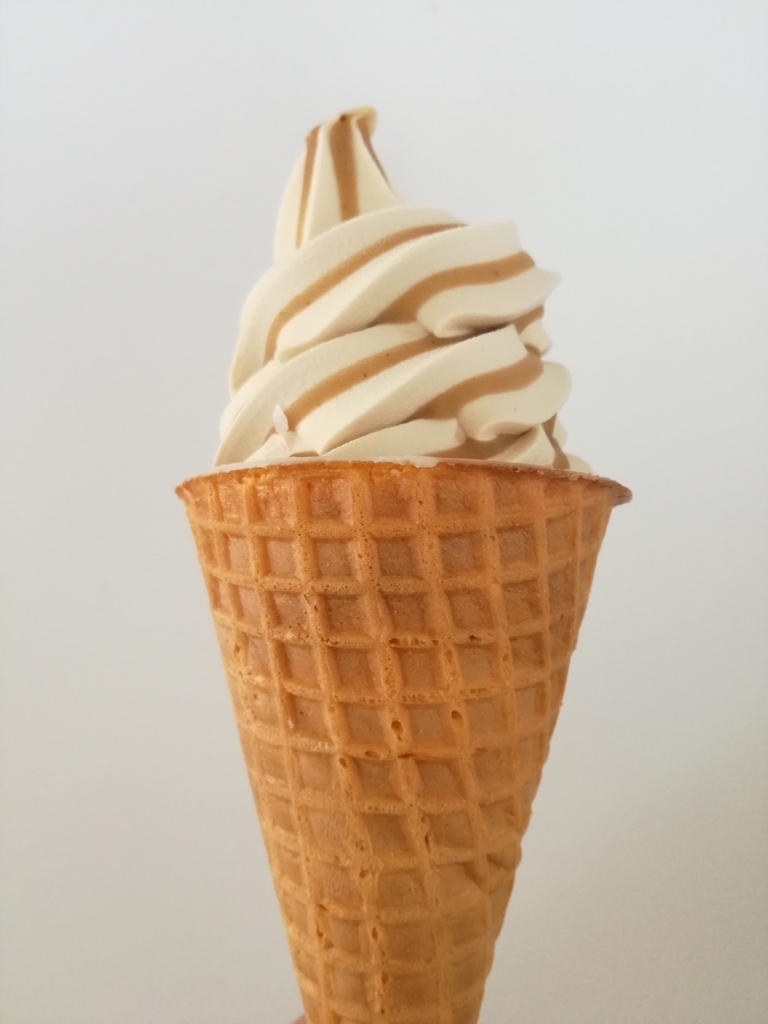 f:id:mousouryoku:20181016165256j:plain f:id:mousouryoku:20181016165256j:plain