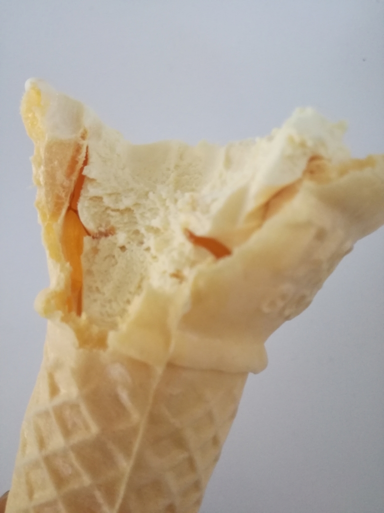 f:id:mousouryoku:20181113154126j:plain