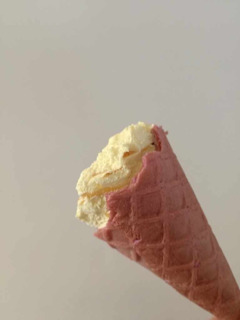 f:id:mousouryoku:20181225145541j:plain