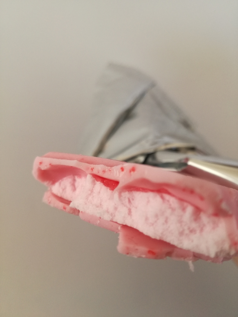 f:id:mousouryoku:20190122171545j:plain f:id:mousouryoku:20190122171545j:plain