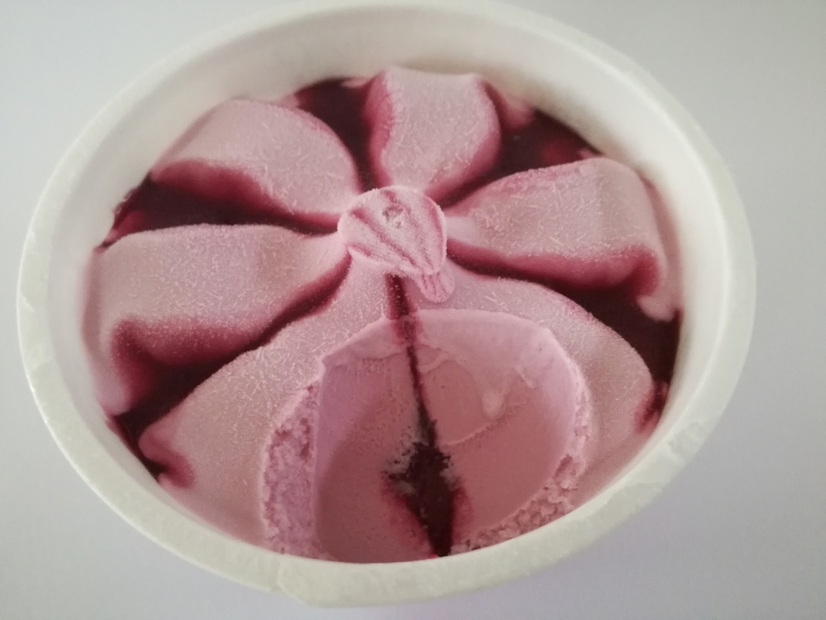 f:id:mousouryoku:20190724183914j:plain